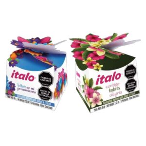 Italo Chocolate Relleno con Sabor a Frutas Caja Flores 66 g